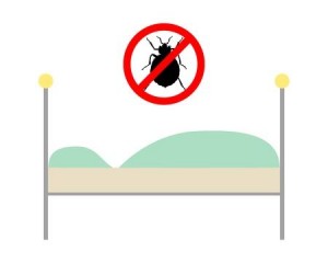 NoBedBugs_123RF_5519282_blog