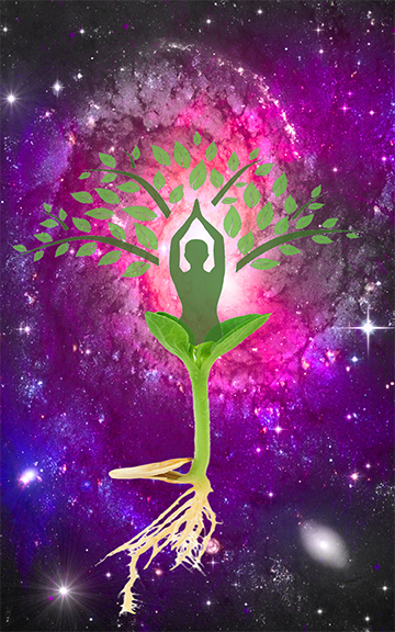 DivineUnrest2Small