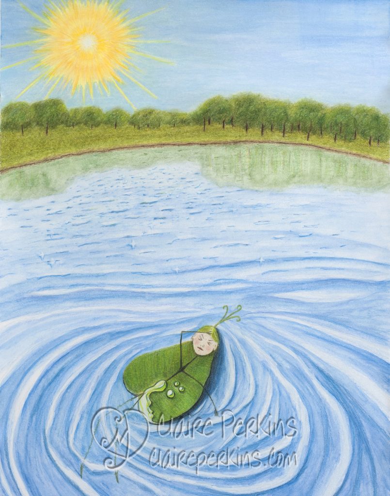 Illustration of a leaf floating on the water