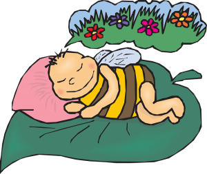 bee-44520_960_720